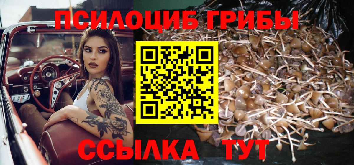 Псилоцибиновые грибы Psilocybine cubensis  Вход с VPN  Псилоцибиновые грибы Magic Shrooms  наркотики  Похвистнево 